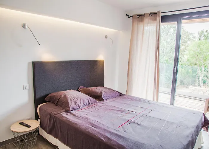 Gialla * 维琪奥港